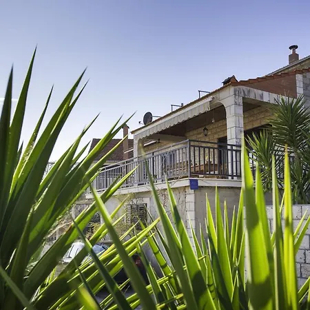 Niksa Daire Smokvica (Korcula)